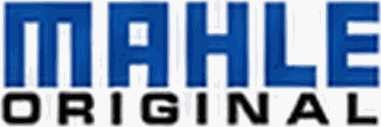 Mahle Original