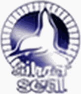 Silver Seal